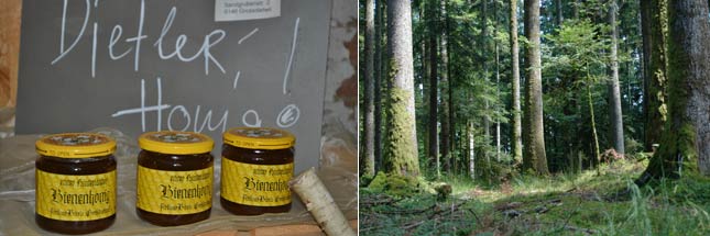 Rottaler Waldhonig